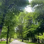 Jardin De San Feliz / Fontan *