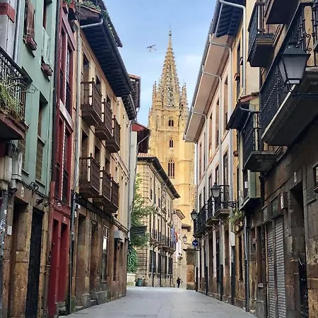 Jardín De San Feliz / Fontán