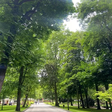 Jardin De San Feliz / Fontan *