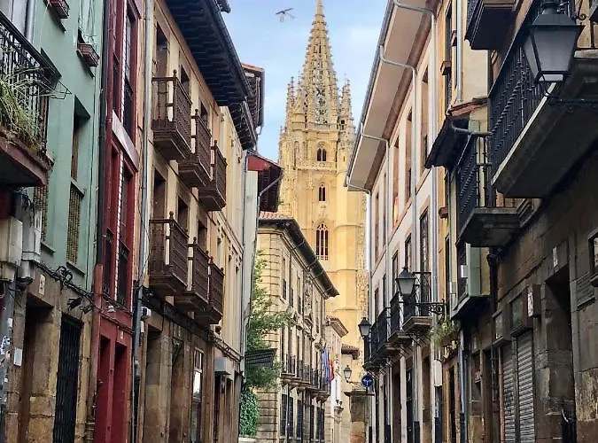 Jardin De San Feliz / Fontan