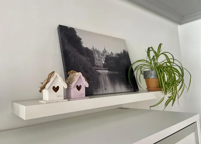 Jardin De San Feliz / Fontan *